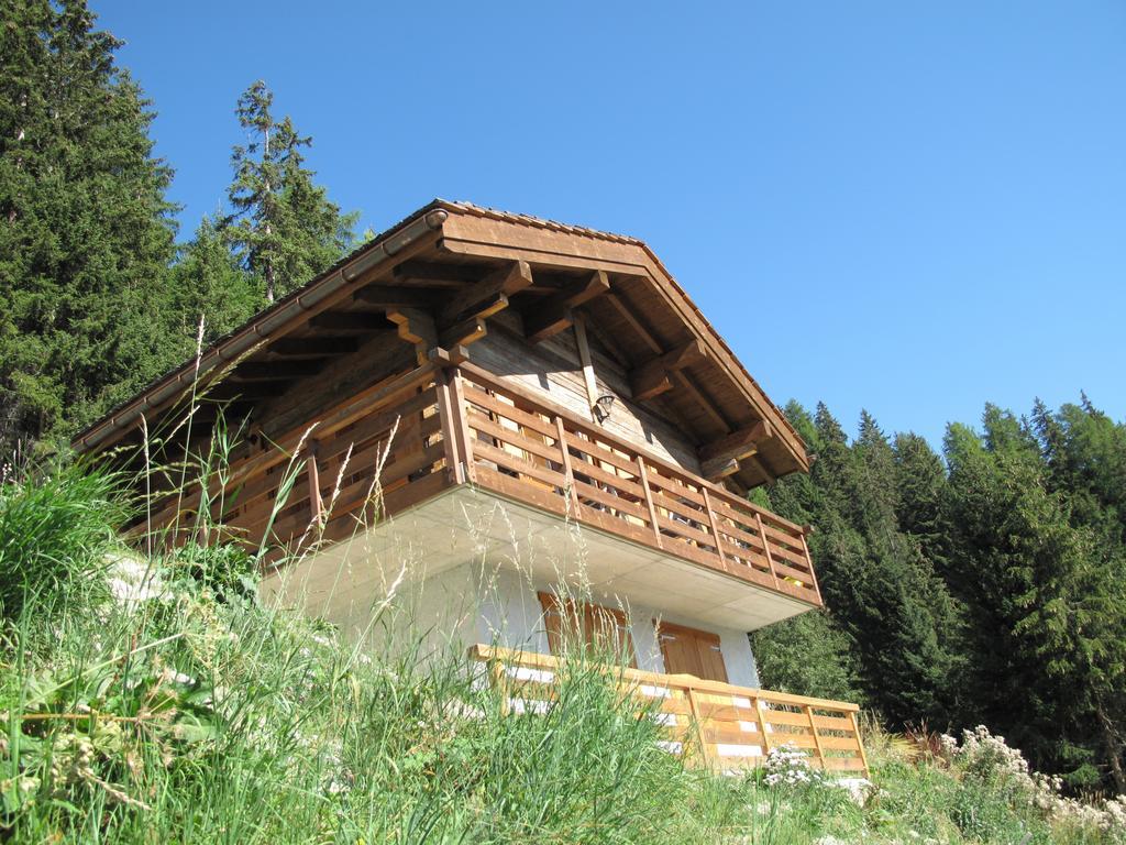 Villa Chalet Amos Grimentz Exterior foto